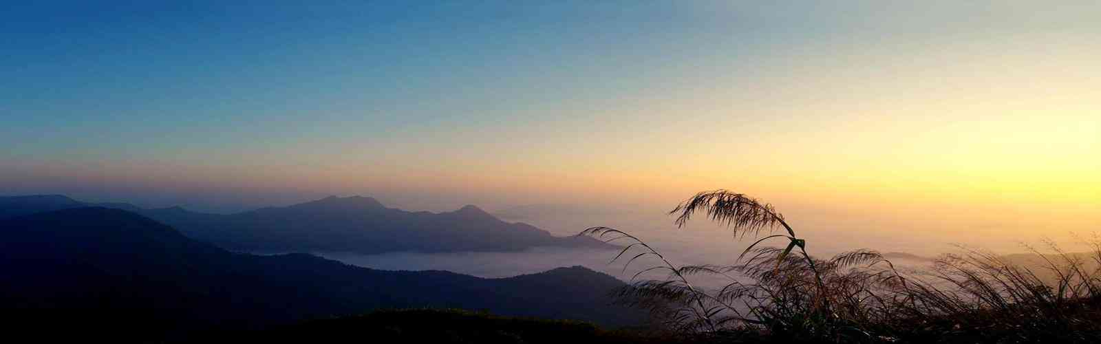 J9国际站官网入口